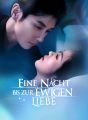 Eine Nacht bis zur ewigen Liebe cover