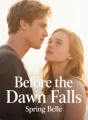 Before the Dawn Falls cover