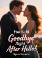 You Said Goodbye Right After Hello cover