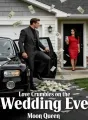 Love Crumbles on the Wedding Eve cover