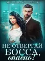 Не отвергай босса, опасно! cover