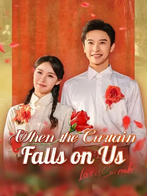 When the Curtain Falls on Us (DUBBED) cover