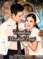 Terpaksa Menikah Lagi cover