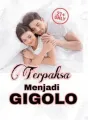 Terpaksa Menjadi GIGOLO cover