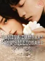 Wanita Dambaan Sang Bilionaire cover