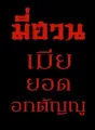 มี่ฮวน เมียยอดอกตัญญู cover