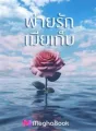 พ่ายรักเมียเก็บ cover