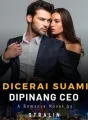 DICERAI SUAMI, DIPINANG CEO cover