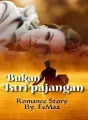 Bukan Istri Pajangan cover