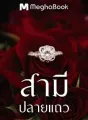 สามีปลายแถว  cover