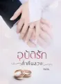 อุบัติรักค่ำคืนลวง cover