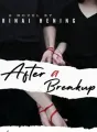 After a Breakup cover