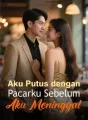 Aku Putus dengan Pacarku Sebelum Aku Meninggal cover