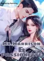 Mr. Harrison & Passionette cover
