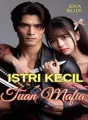 Istri kecil tuan mafia cover