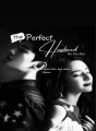 My Perfec Husband cover