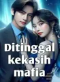 Ditinggal Kekasih Mafia cover