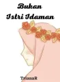 Bukan Istri Idaman cover