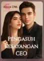 Pengasih Kesayangan CEO cover