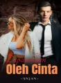 Dipatahkan Oleh Cinta cover