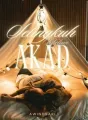 Selingkuh Sebelum Akad cover