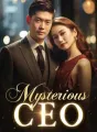 Mysterious CEO cover