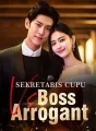 Sekretaris Cupu Vs Boss Arrogant cover