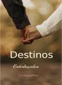 Destinos Entrelaçados. cover