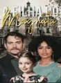 A filha do magnata cover