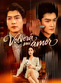 Volverá mi amor 