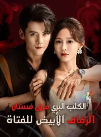 ‫الكلب البري مزق فستان الزفاف الأبيض للفتاة‬