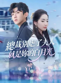 總裁別虐了夫人就是你的白月光