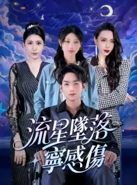 流星墜落寧感傷