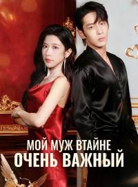 Мой муж втайне очень важный