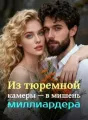 Из тюремной камеры — в мишень миллиардера cover
