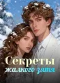 Секреты жалкого зятя cover