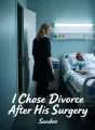 I Chose Divorce After His Surgery cover