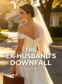 The Ex-Husband's Downfall cover