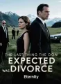 The Last Thing the Don Expected Was Divorce cover