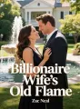 Billionaire Wife's Old Flame cover