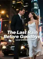 The Last Rain Before Goodbye cover