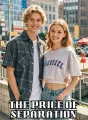 The Price of Separation cover