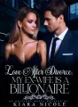 Love After Divorce: My Ex Wife Is A Billionaire cover