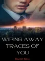Wiping Away Traces of You cover