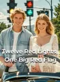 Twelve Red Lights, One Big Red Flag cover