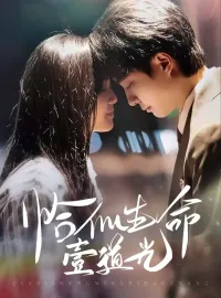 恰似生命壹道光