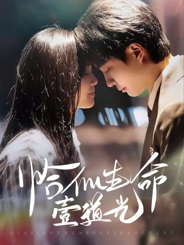 恰似生命壹道光