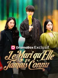 Le Mari qu'Elle n'a Jamais ConnuMini-séries