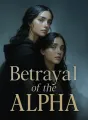Betrayal of the Alpha cover