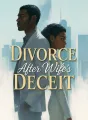 Divorce After Wife's Deceit cover